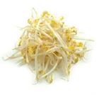 Picture of BEANS SPROUTS 250G