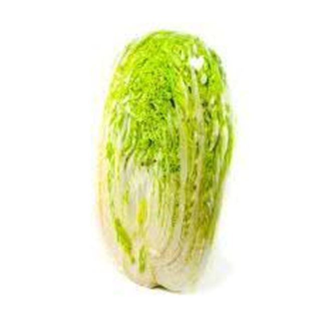 Picture of CABBAGE CHINESE WHOLE