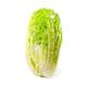 Picture of CABBAGE CHINESE WHOLE