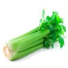 Picture of CELERY  WHOLE