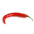 Picture of CHILLI RED LONG