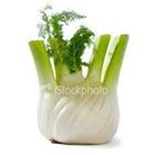 Picture of FENNEL BABY