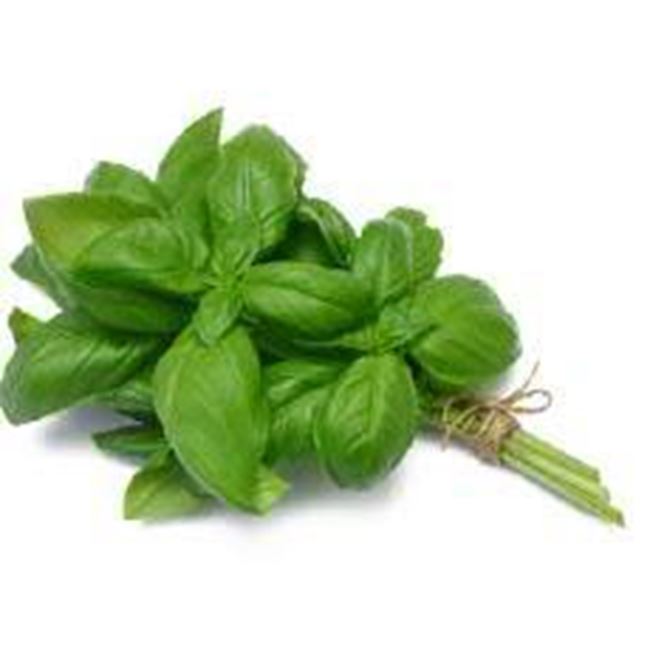 Picture of HERBS BASIL ITALIAN