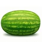 Picture of MELON WATER WHOLE