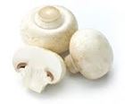 Picture of MUSHROOM CUP (200g)