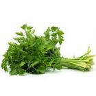 Picture of PARSLEY