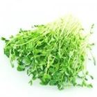 Picture of PEASHOOTS 100G