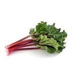 Picture of RHUBARB BCH