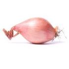 Picture of SHALLOTS