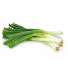Picture of SPRING ONION