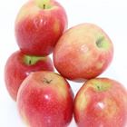 Picture of APPLES PICNIC POINT PINK LADY 2KG