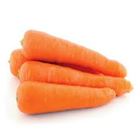Picture of CARROT ORGANIC