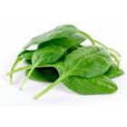 Picture of BABY SPINACH ORGANIC 120G