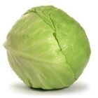 Picture of CABBAGE GREEN ORGANIC
