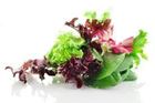 Picture of SALAD MIX LOOSE (100G)