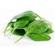 Picture of BABY SPINACH (100G)