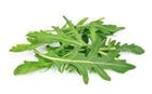 Picture of WILD ROCKET LOOSE (100G)
